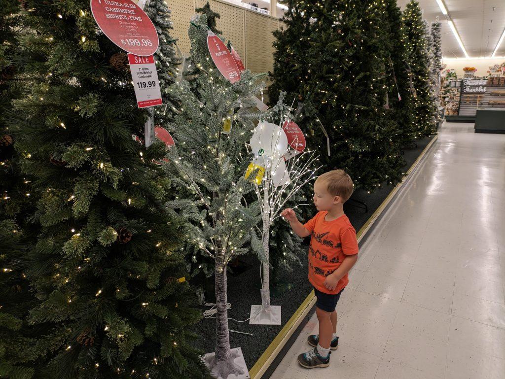 3-year-old boy looking at a store's Christmas tree display while wearing shorts and a t-shirt