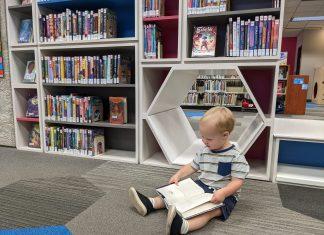 small boy sitting in front of library bookshelf looking at a book